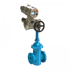 Gate Valve