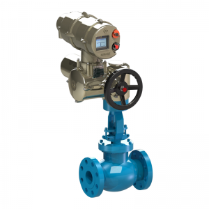 Globe Valve